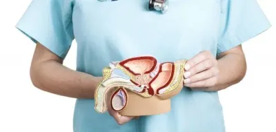 Prostata-Vorsorge - Urologe in Wien